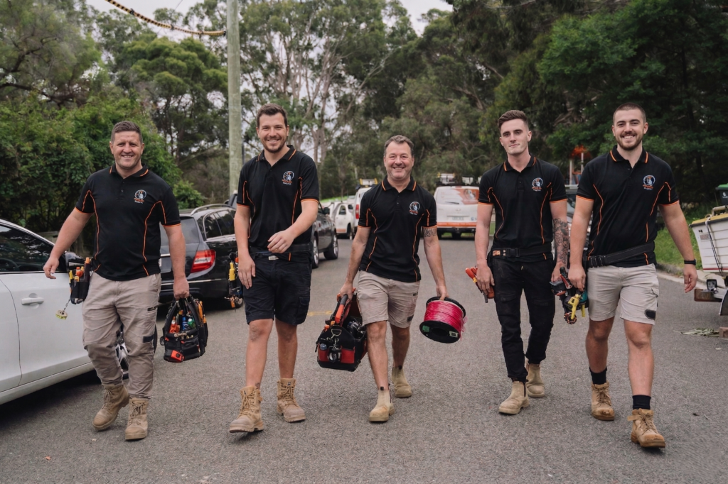 Professional electrical services in Five Dock